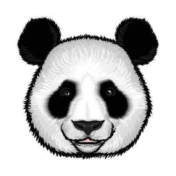 panda6607